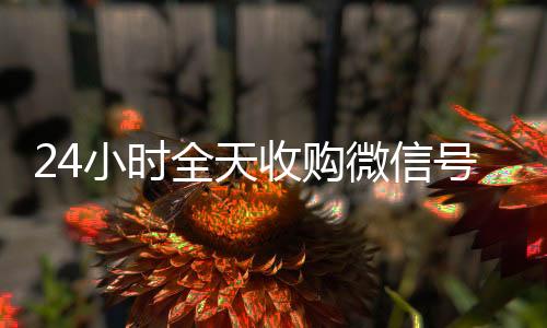 24小时全天收购微24小时收微信靠谱回收信号（出售微信24小时在线回收）